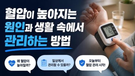 혈압이 높아지는 원인과 생활 속에서 관리하는 방법