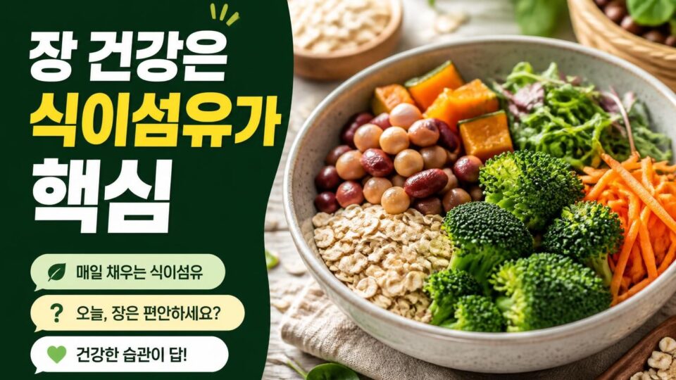 식이섬유가 많은 음식과 장 건강에 좋은 섭취 방법 정리