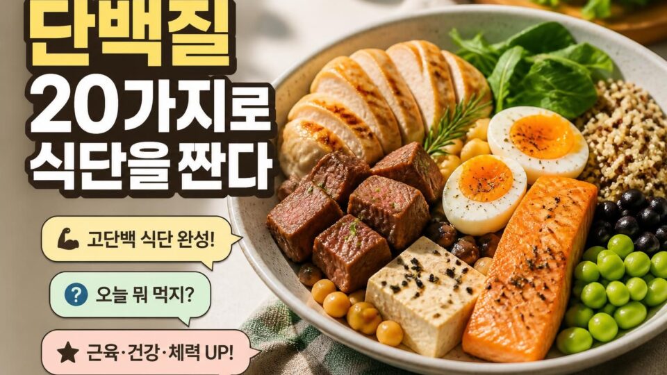 단백질이 풍부한 음식 20가지와 건강한 식단 구성 방법