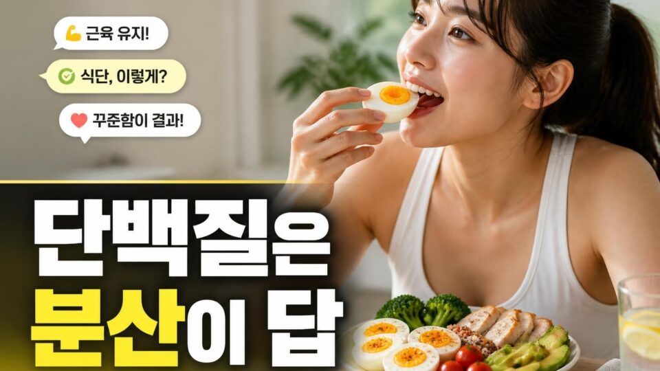 계란 하루 몇 개까지 괜찮을까? 건강하게 먹는 방법 알아보기