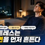 스트레스가 건강에 미치는 영향과 관리하는 생활 습관